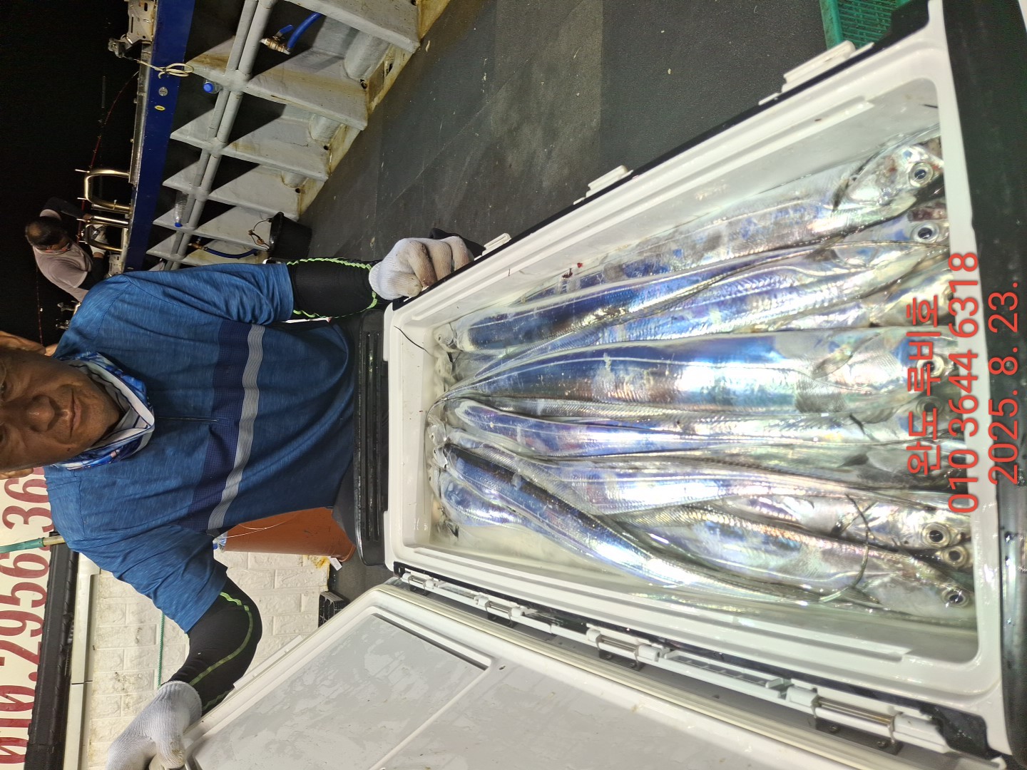 8월22일 루비호 갈치조황 입니다