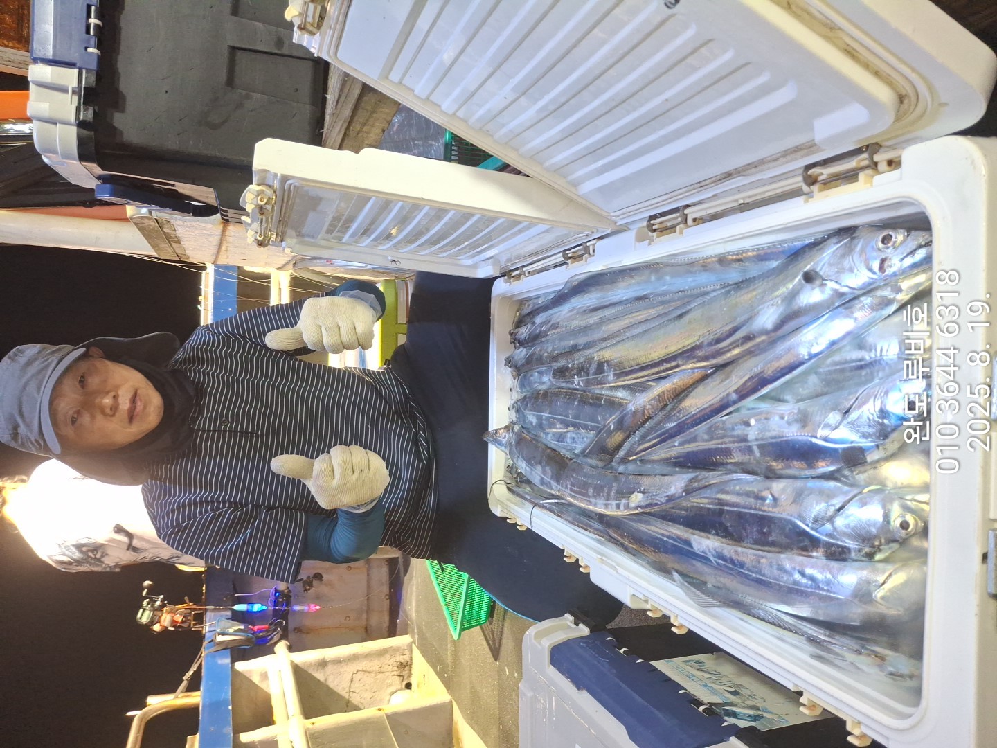 루비호 8월18일 갈치 만쿨조황 입니다