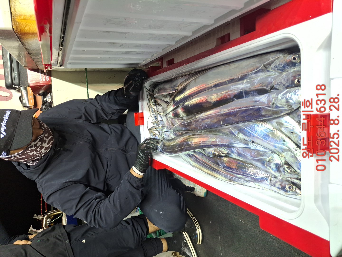 8월27일 루비호 갈치 조황입니다