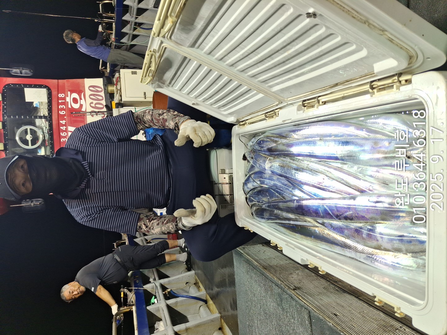 9월16일 루비호 갈치조황