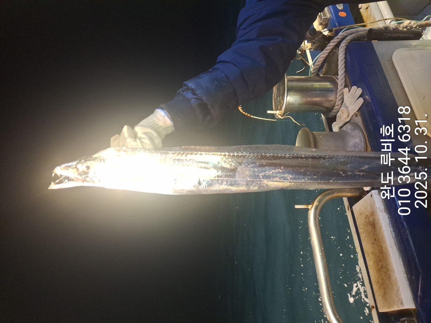 10월30일 출조 루비호 갈치조황