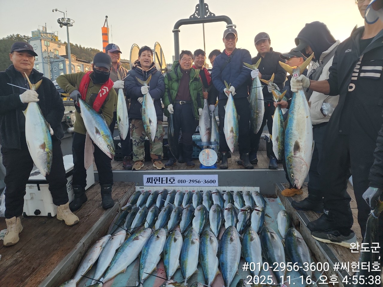 11뭘16일 일요일 오늘도 방어 굿조황입니다