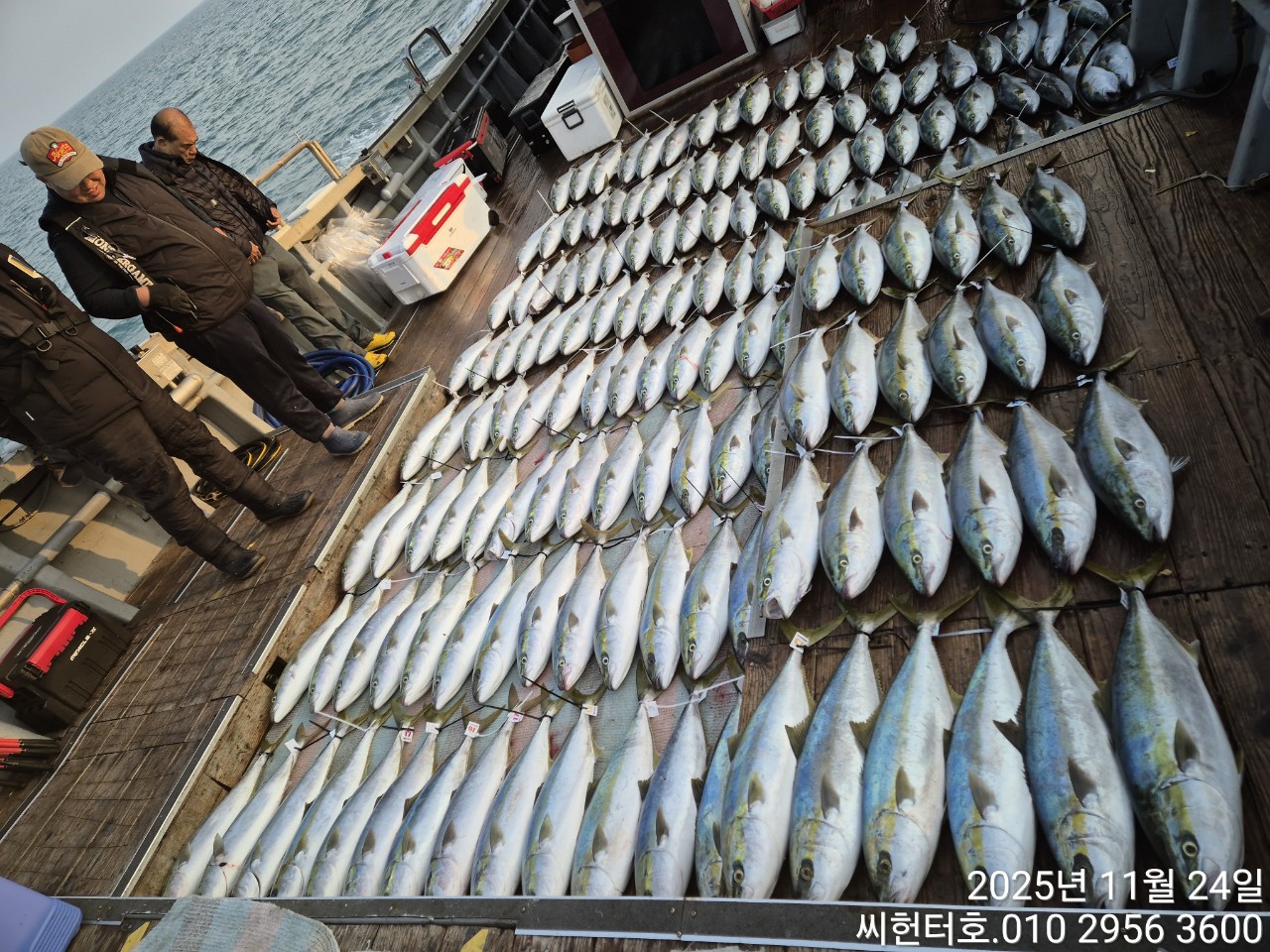 11월24일 월요일 씨헌터호 대박조황입니다