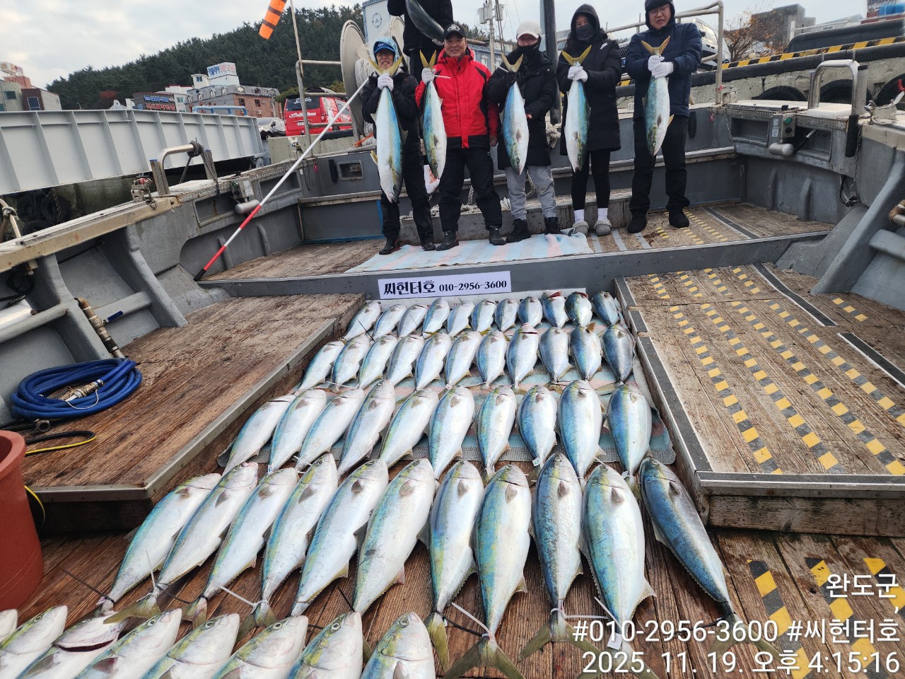 11뭘19일 수요일 씨헌터호 오늘도 방어 대박조황입니다