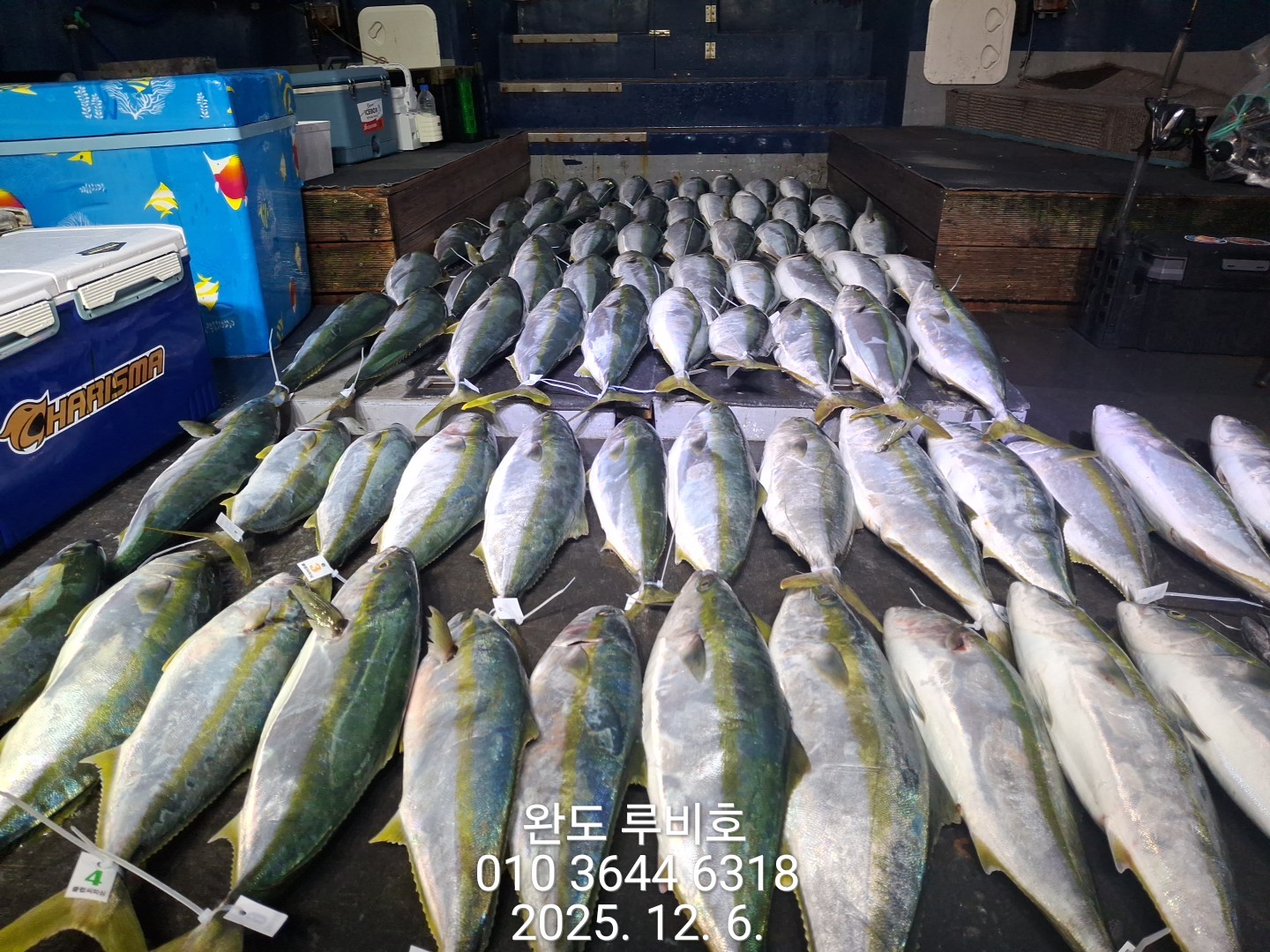 12월6일 토 루비호 방어 조황입니다