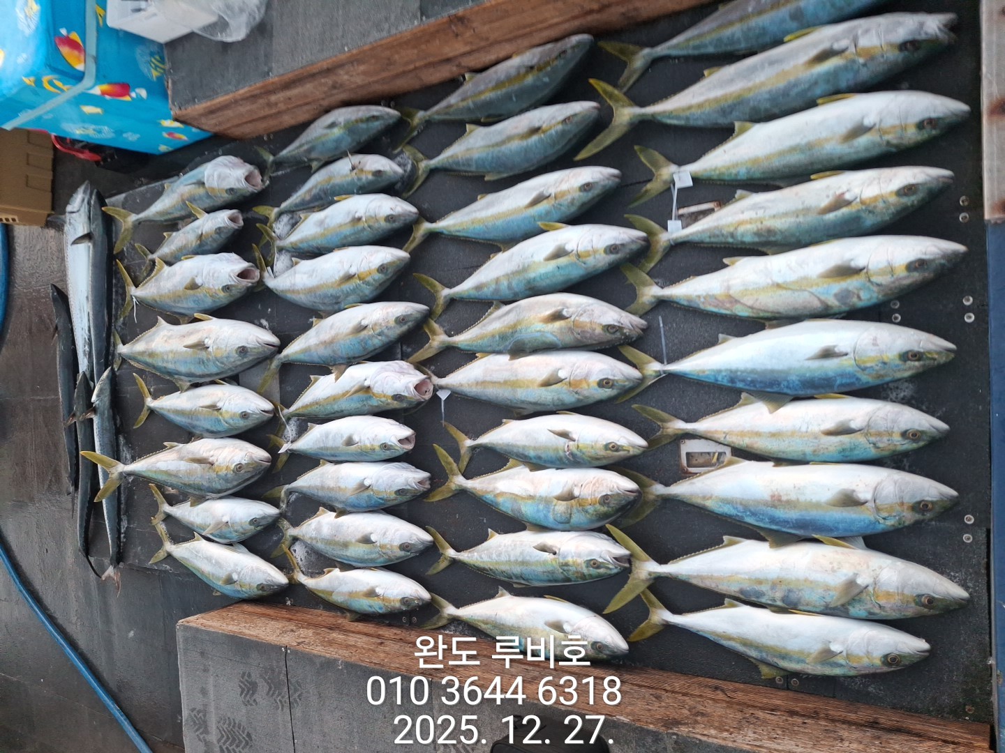 12월27일 루비호 방어조황 입니다