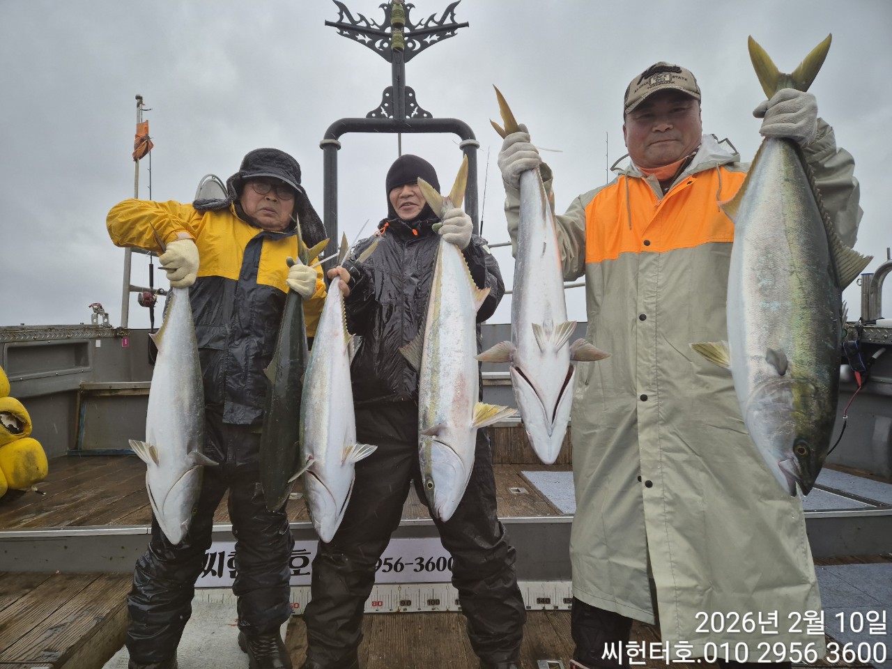 2뭘10일 화요일 씨헌터호 방어 조황입니다